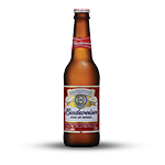Budweiser Beer 